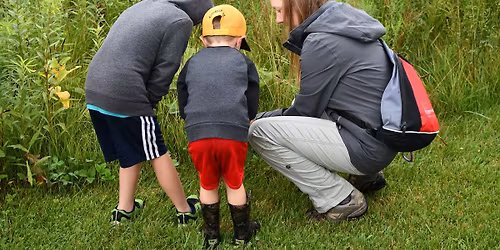 Nature Play Day After Hours: Bugs