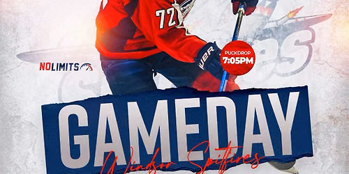 Windsor Spitfires at Saginaw Spirit at Wendler Arena at Dow Event Center