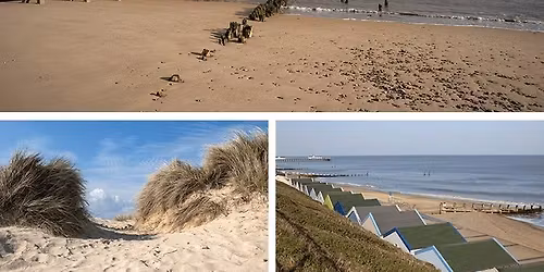 Holy Trail Running Festival - 50mile Ultra