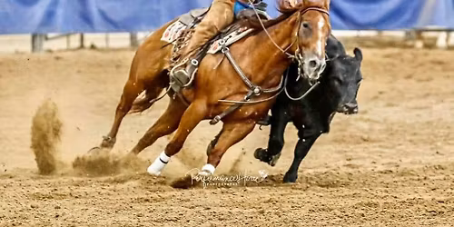 Building the Versatility Ranch Horse with Cowboy Adventures 