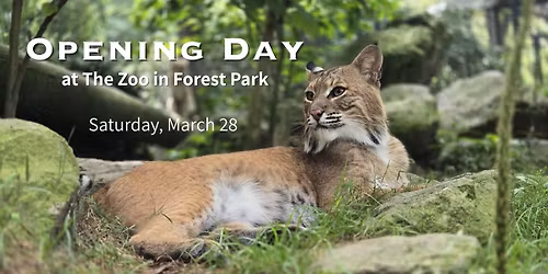 Opening Day at The Zoo in Forest Park