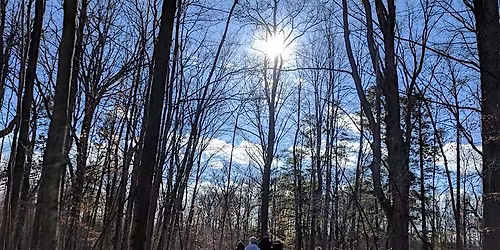 Pause and Presence: Forest Bathing \/\/ Pause et pr\u00e9sence : Bain de for\u00eat