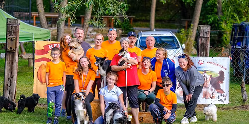 15. ro\u010dn\u00edk V\u00fdchod\u0148arsk\u00fdch agility pretekov