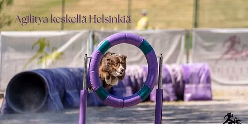 Emma R\u00e4ih\u00e4n (ILME agility) koulutus
