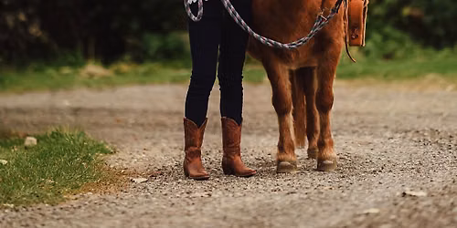 Saddle up Mini's
