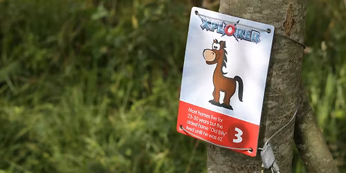 Easter Xplorer at Mere Sands Wood