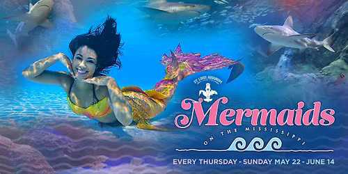 Mermaids on the Mississippi at the St. Louis Aquarium