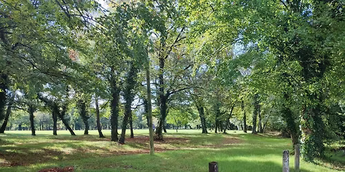 EXPOSITION CANINE AVEC ATTRIBUTION DE CACS