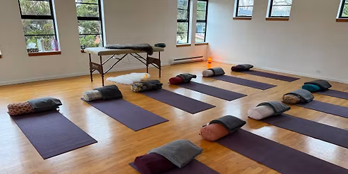 Spinal Energetics Community Session - Victoria