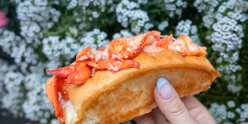 Cousins Maine Lobster at Smiths in Cadence