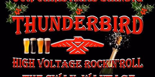 Thunderbird's Christmas Party at The Swan