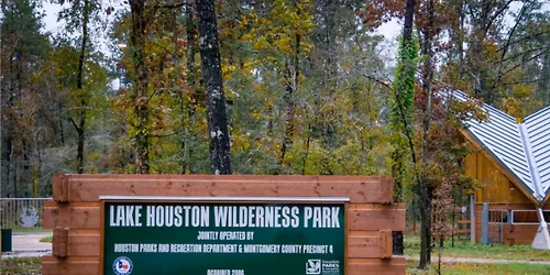 Terrific Trees Part 1