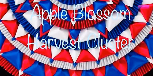 Apple Blossom Cluster AKC Dog Show