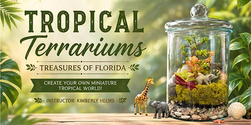 Tropical Terrariums: Treasures of Florida