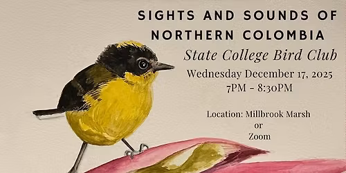 Sights and Sounds of Nothern Colombia.