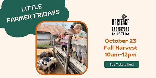 Little Farmer Friday - Fall Harvest