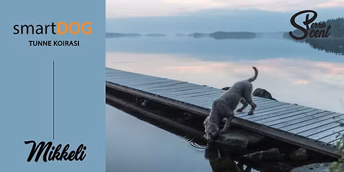smartDOG POP UP -testip\u00e4iv\u00e4t Mikkeliss\u00e4 