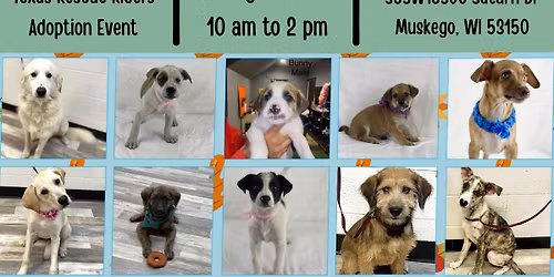 Texas Rescue Riders Pet Adoption Event!