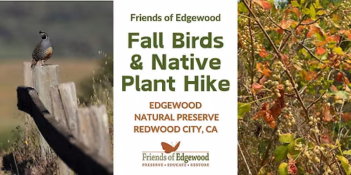 Fall Birds and the Plants That Sustain Them Hike at Edgewood
