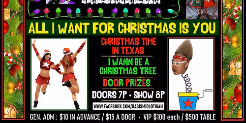 Vince Vance and the Valiance CHRISTMAS SHOW LIVE at the Oasis Bar and Grill