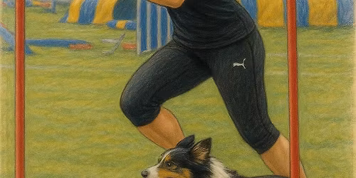 Tr\u00e9nuj hlavou, b\u011bhej srdcem: Ment\u00e1ln\u00ed i tr\u00e9ninkov\u00e1 p\u0159\u00edprava psovoda ve sportu