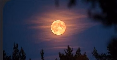 Full Moon Yin