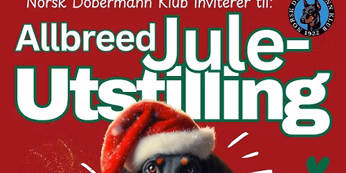 JULEUTSTILLING 27-28.12.2025