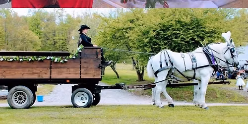 Christmas in the Park