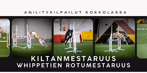 Kiltan marraskuun agilitykilpailut Kokkolassa