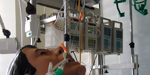 Beatmungstag II - Differenzierte Beatmung