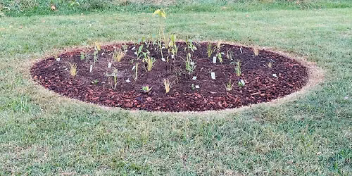 COMMUNITY NATIVE GARDEN PROJECT