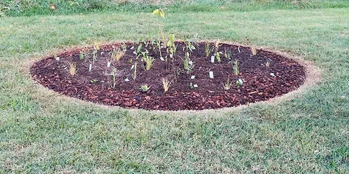 COMMUNITY NATIVE GARDEN PROJECT