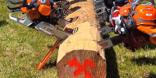 9.Den Myslivosti Lesnictv\u00ed a Ochrany p\u0159\u00edrody 