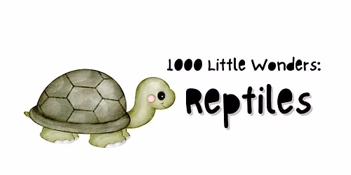 1000 Little Wonders - Reptiles