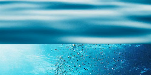 Multisensorial Meditation: A Trip To The Depths Of The Ocean