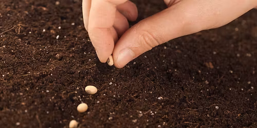 Seed Starting Class at the Botanical Gardens