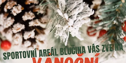 V\u00e1no\u010dn\u00ed jarmark 