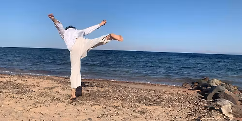 WALKING INTO DANCING: ORGANIC MOVEMENT FOR HEALTH, BALANCE AND POSTURE