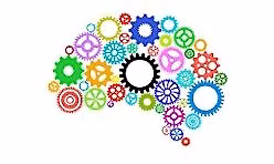 Executive Function 101: Overwhelm, Procrastination, Burnout