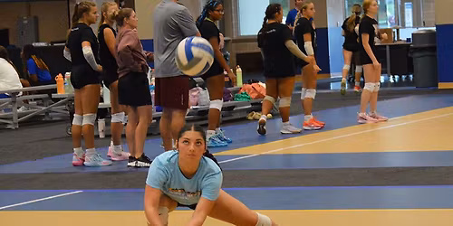 ACE Volleyball Camp