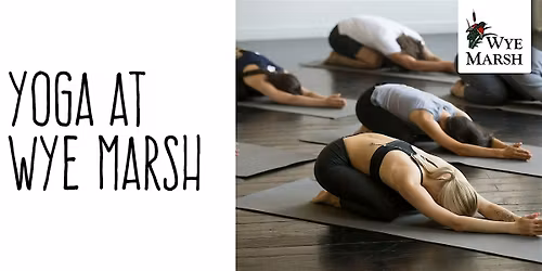 Yoga at Wye Marsh