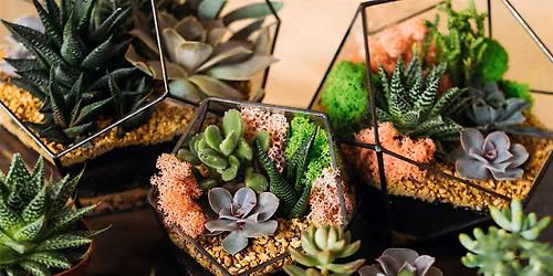 Terrarium Workshop at Division