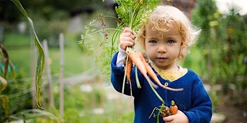 Curious Sprouts Ages 3 - 5 with Caregiver