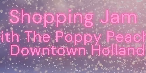 Shopping Jam with The Poppy Peach + Downtown Holland