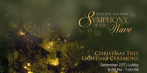 Christmas Tree Lighting Ceremony