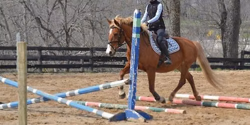 Nervous & Novice Show Jumping