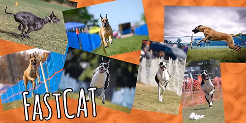 Fall FastCAT