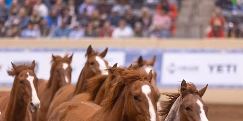 Road to the Horse 2027