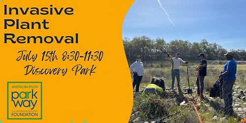 Invasive Plant Removal-Discovery Park