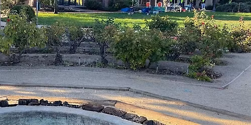 Community Day at Almaden Winery Park! - Sunday Series -